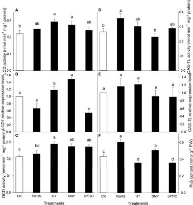 Key role of reactive oxygen species-scavenging system in nitric oxide and hydrogen sulfide crosstalk-evoked thermotolerance in maize seedlings